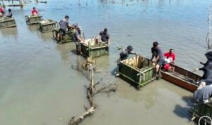 Screenshot_20251030_183215_Chrome