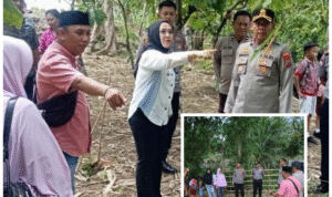 photo-collage.png(2)